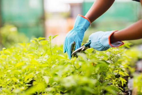 Gardener wearing protective equipment performing garden maintenance