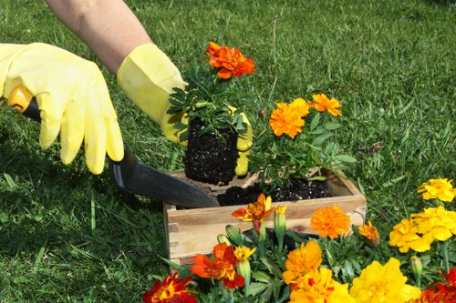 Timing is crucial for effective hedge trimming in Barking