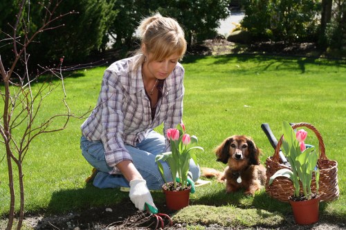 Surveyor preparing a free quote at a suburban garden