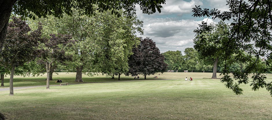 A wide view of Barking Park displaying a well-maintained grassy lawn with sections of neatly trimmed, lush green grass and areas of slightly longer grass. Several mature trees with varied foliage, inc